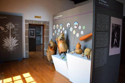 Museo del pulque y las pulqueras